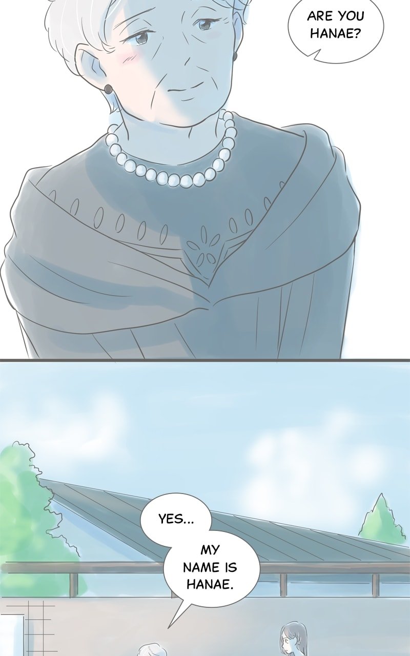 Amid the Changing Seasons