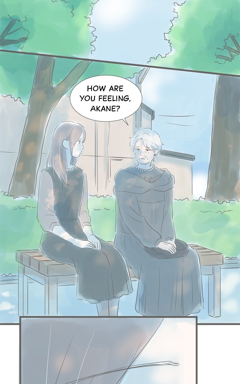 Amid the Changing Seasons