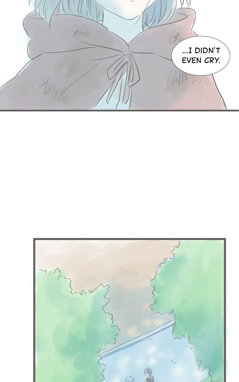 Amid the Changing Seasons