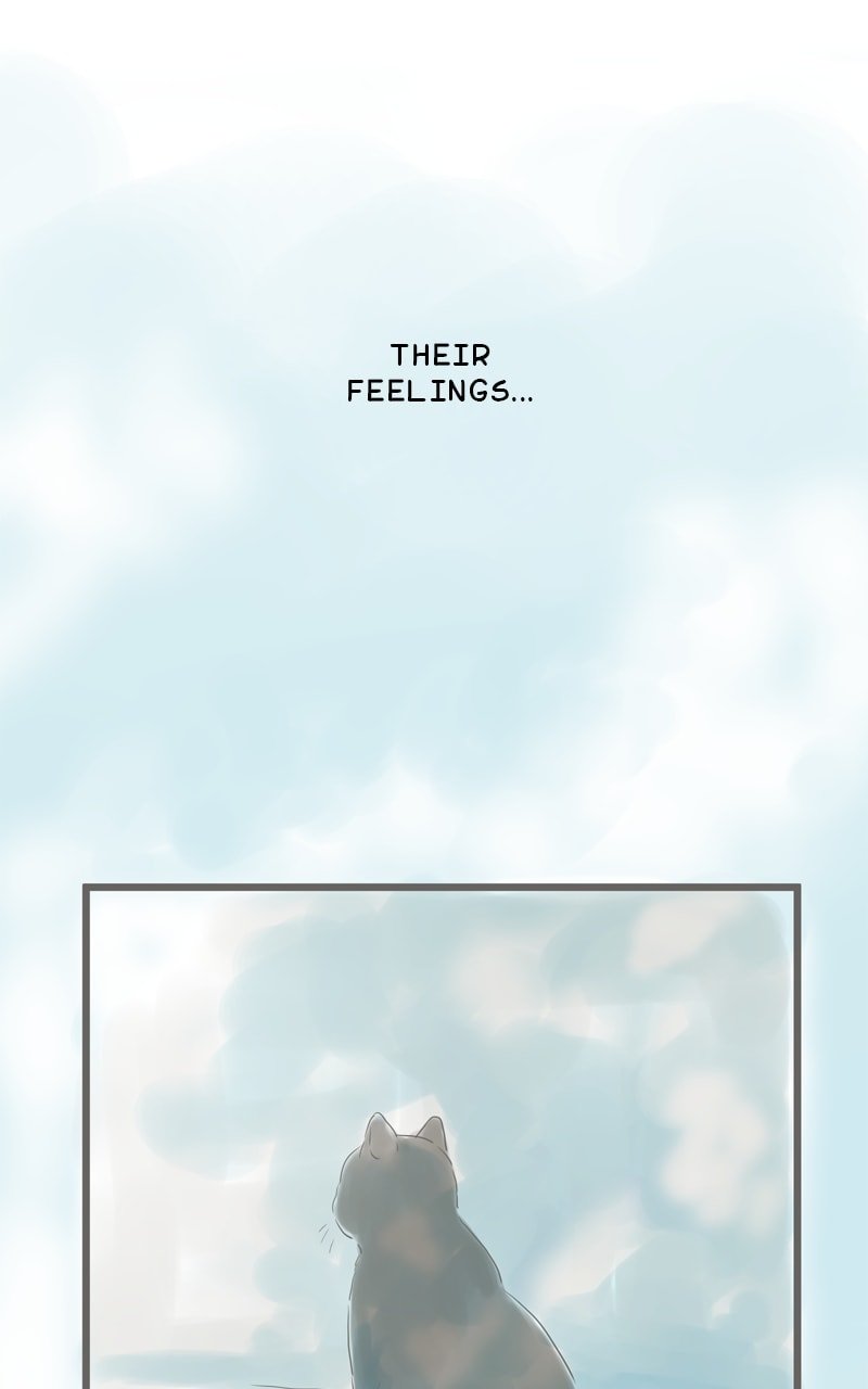 Amid the Changing Seasons