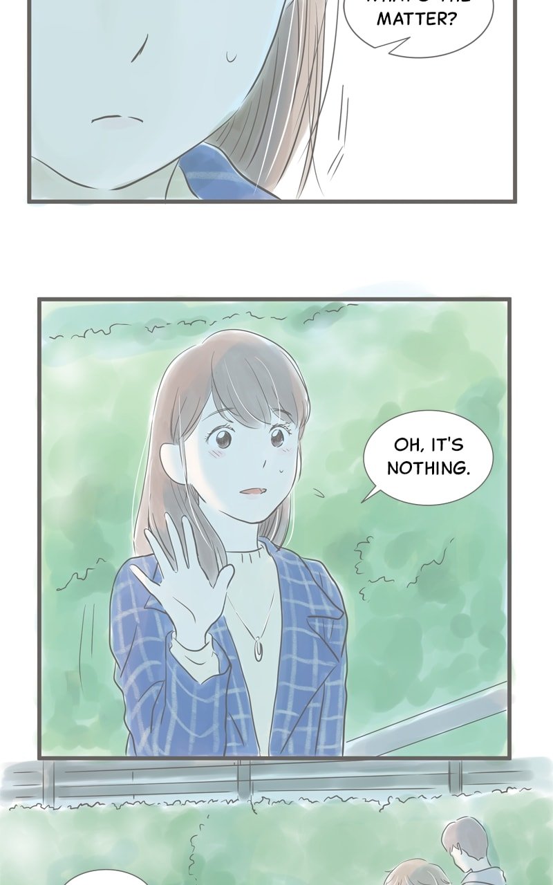 Amid the Changing Seasons
