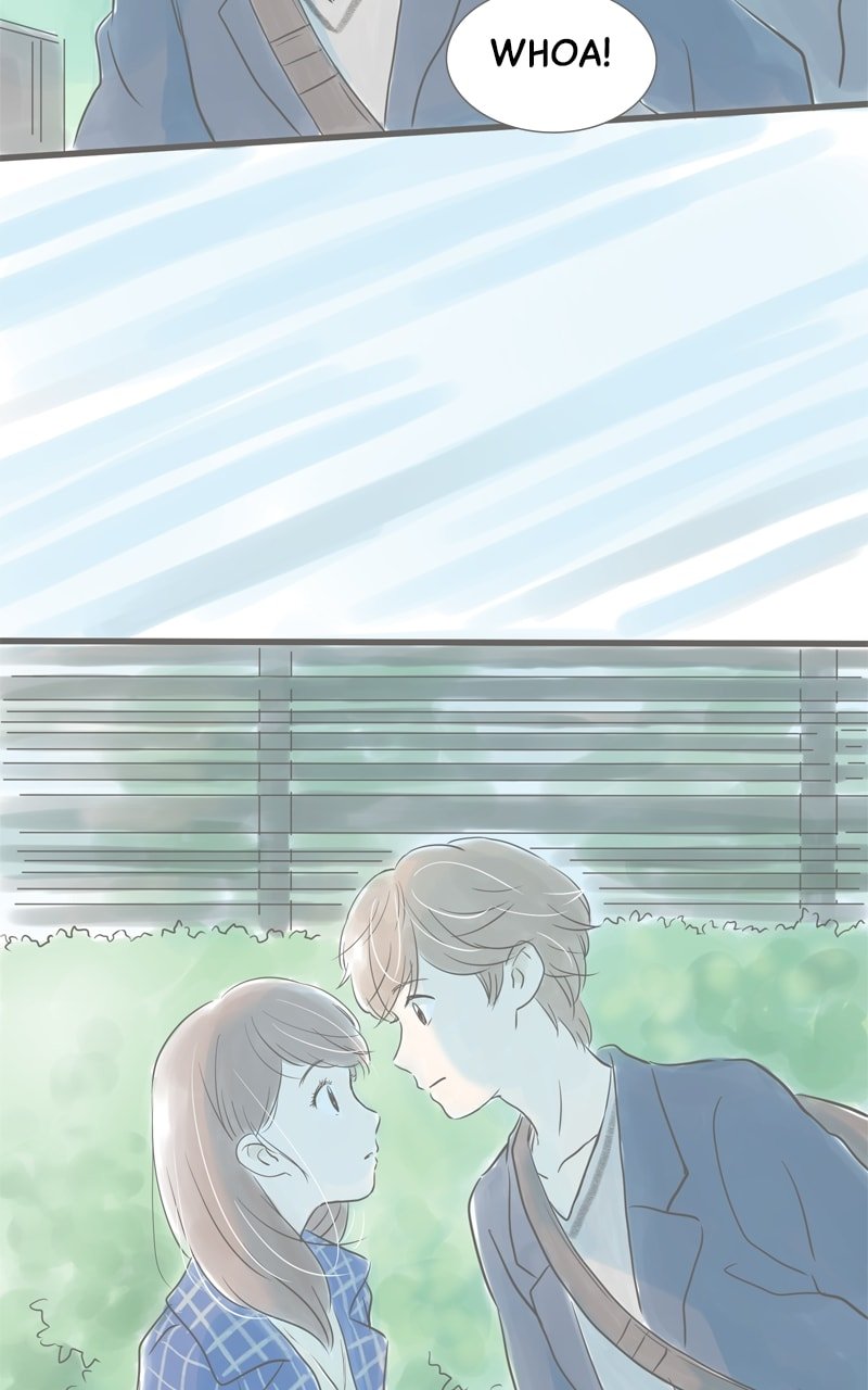Amid the Changing Seasons