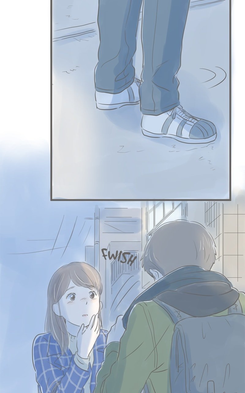 Amid the Changing Seasons