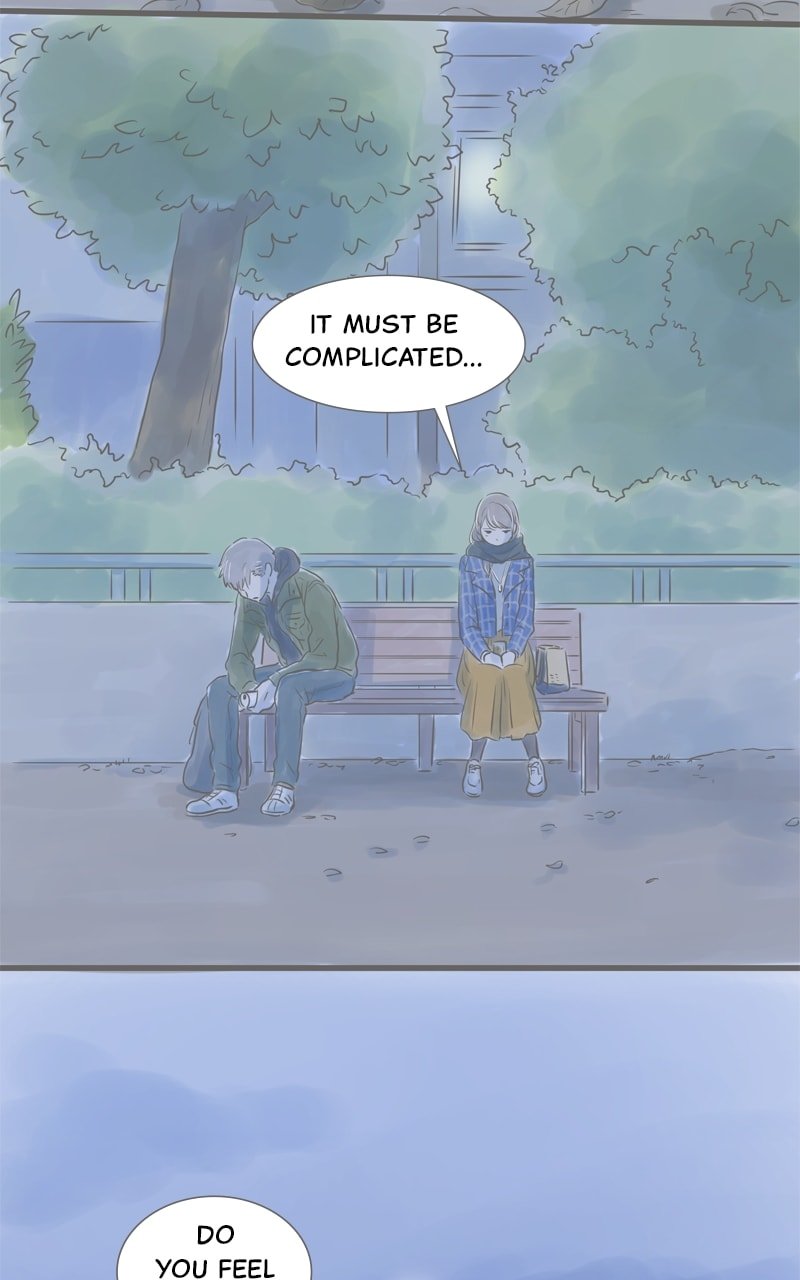 Amid the Changing Seasons