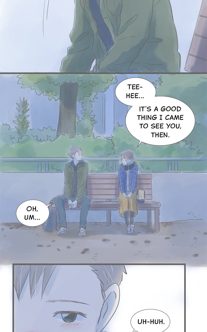 Amid the Changing Seasons
