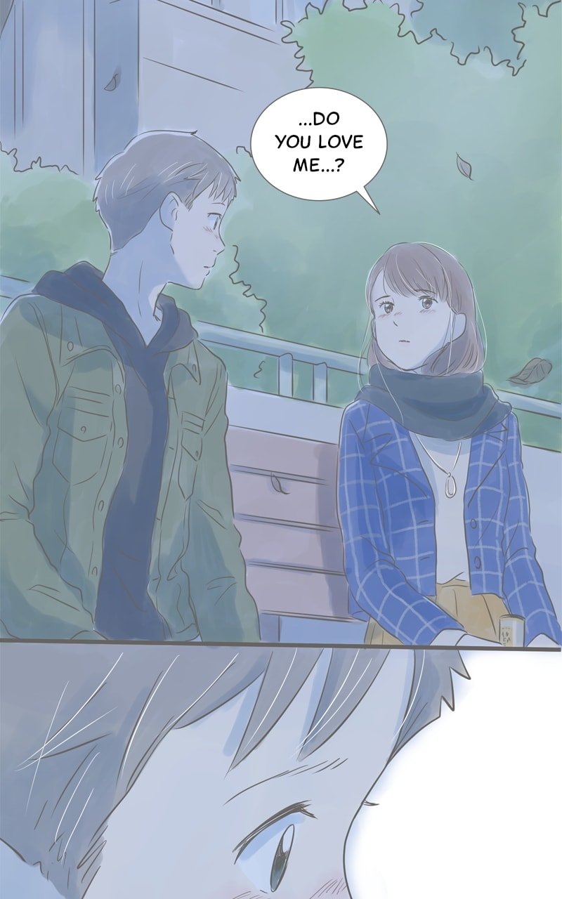 Amid the Changing Seasons