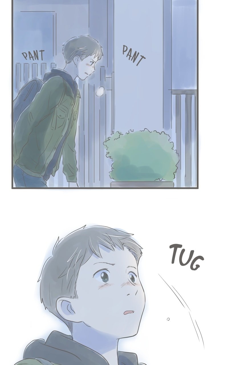 Amid the Changing Seasons