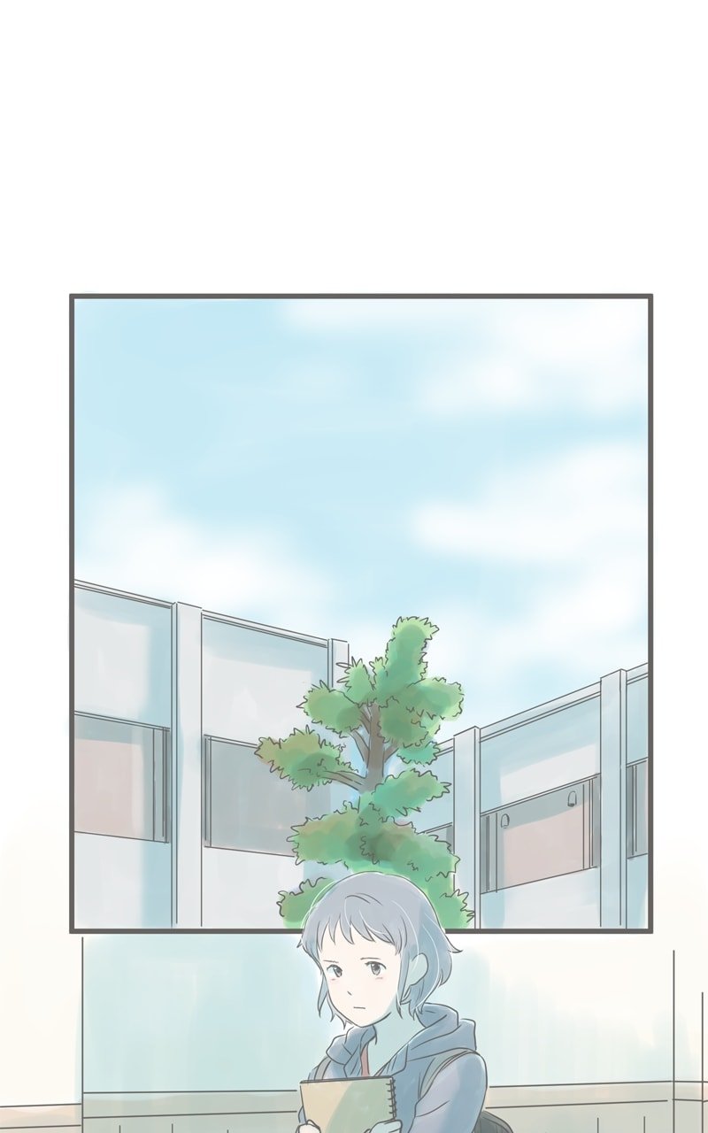 Amid the Changing Seasons