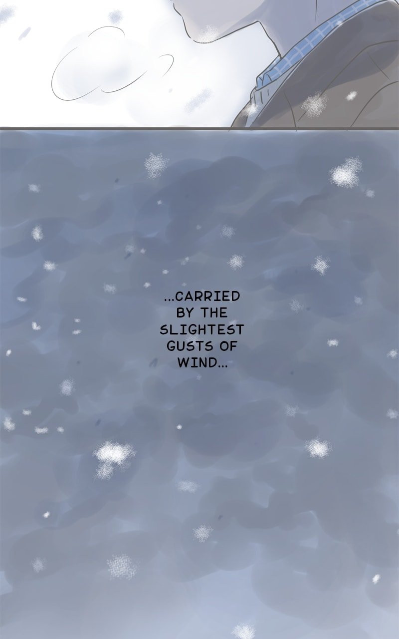 Amid the Changing Seasons