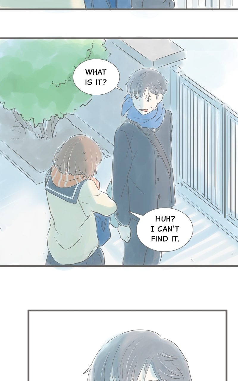 Amid the Changing Seasons
