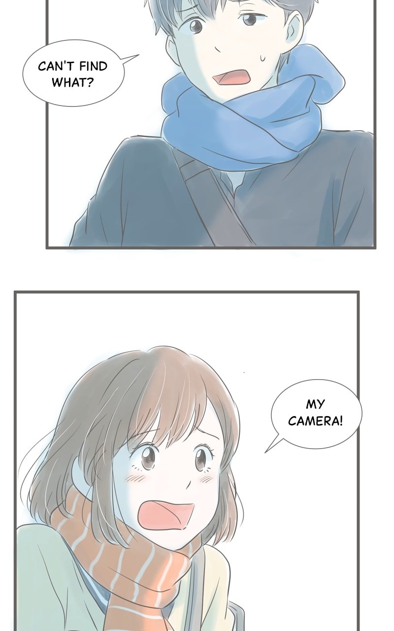 Amid the Changing Seasons
