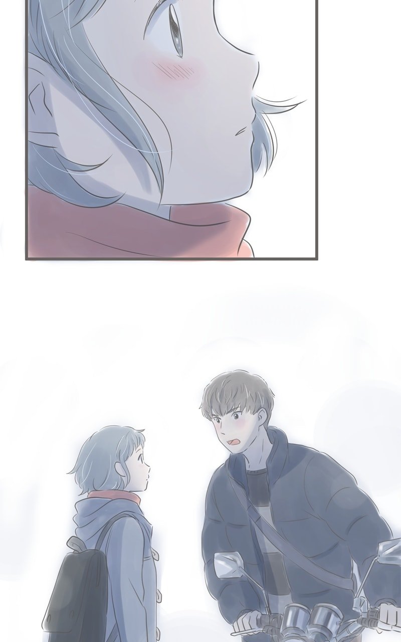 Amid the Changing Seasons