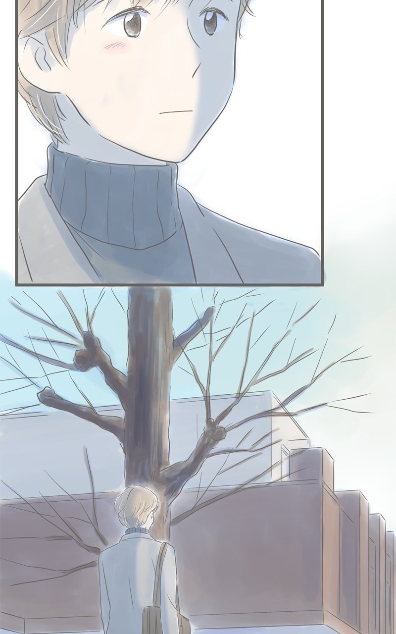 Amid the Changing Seasons