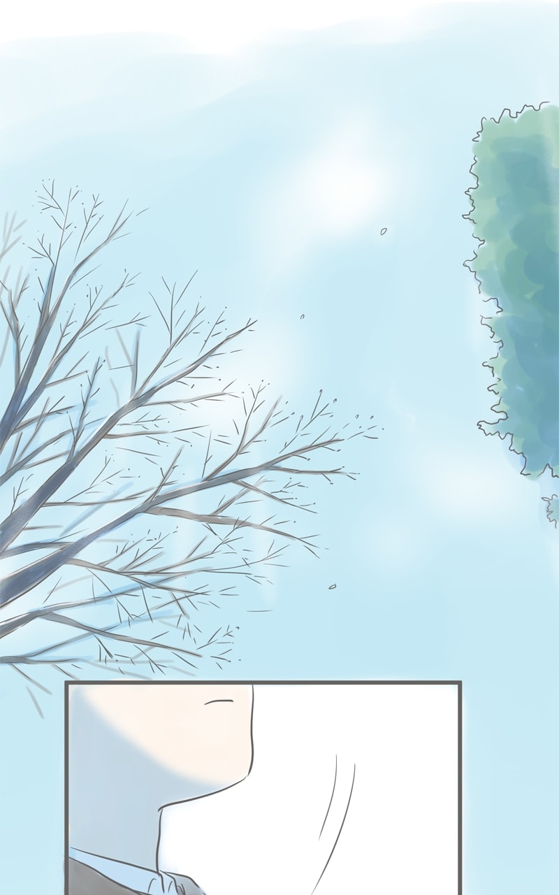Amid the Changing Seasons