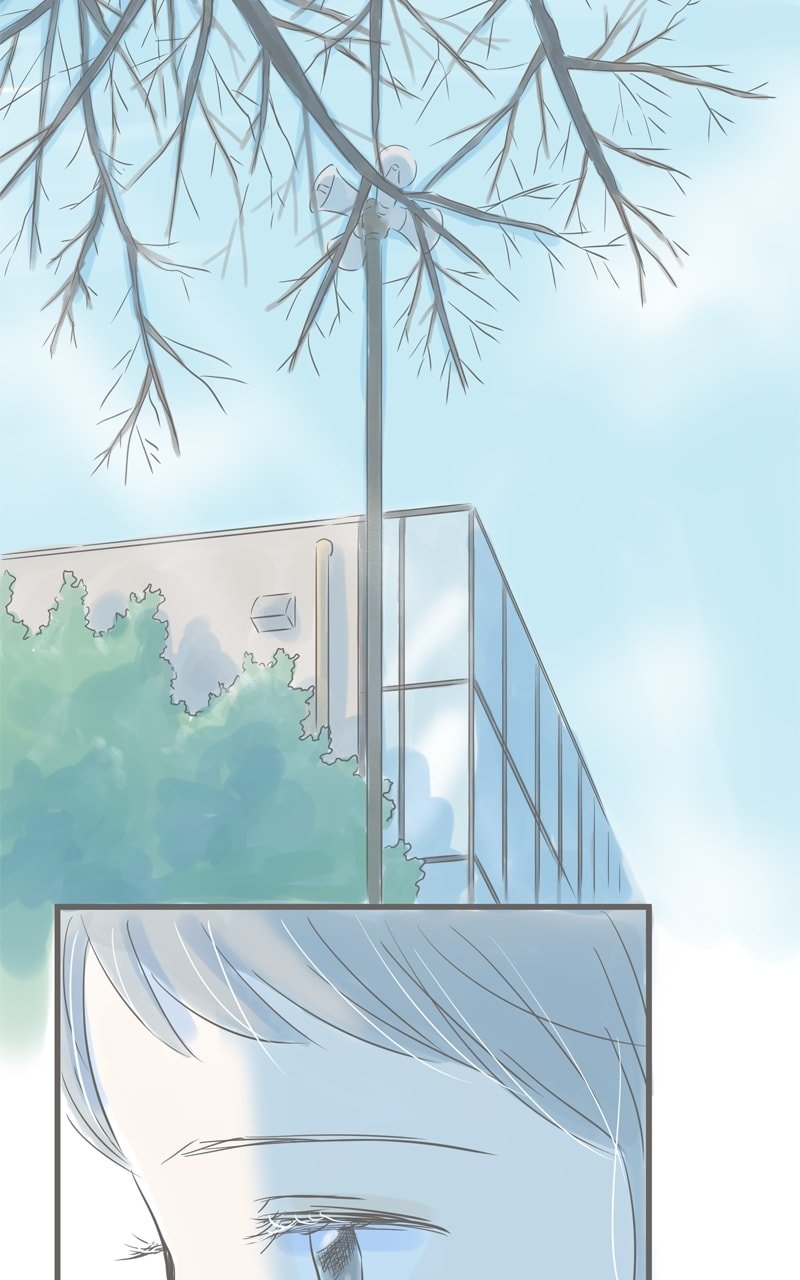 Amid the Changing Seasons