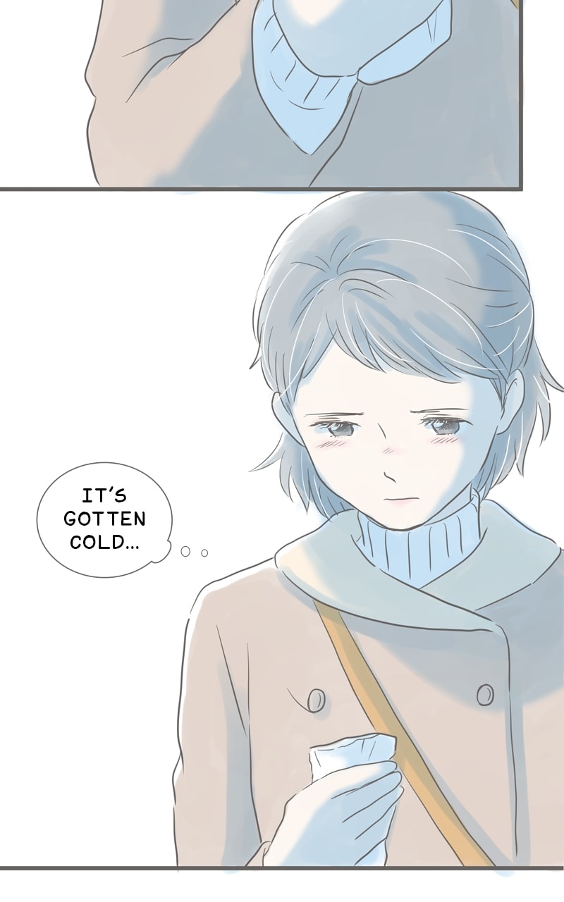 Amid the Changing Seasons