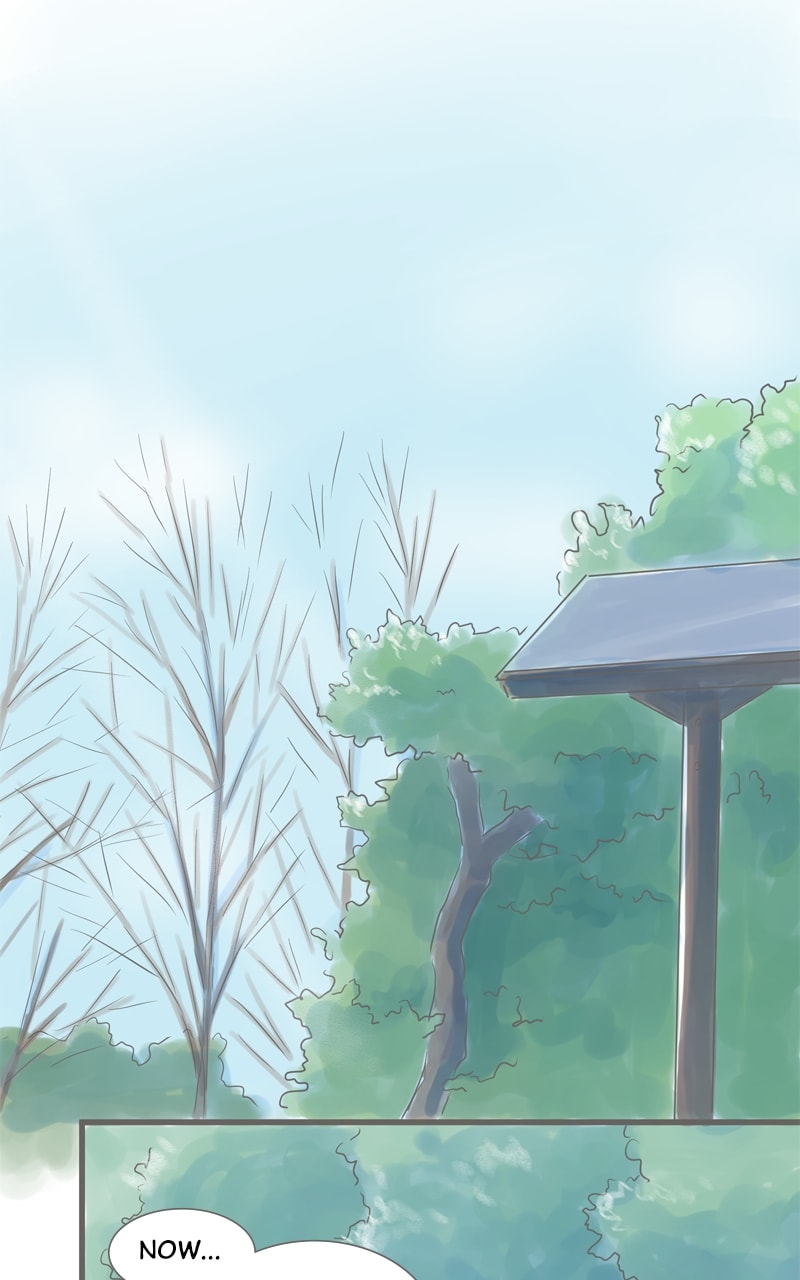 Amid the Changing Seasons