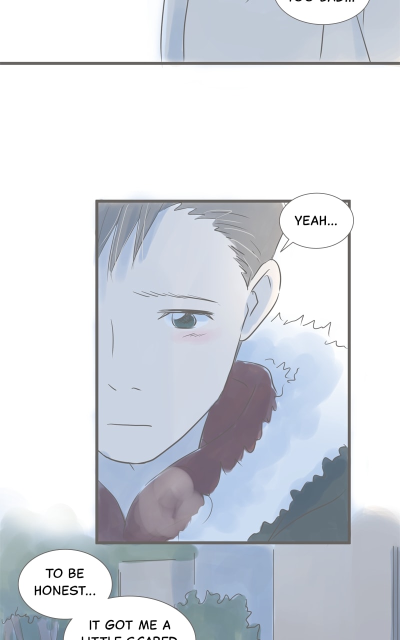 Amid the Changing Seasons