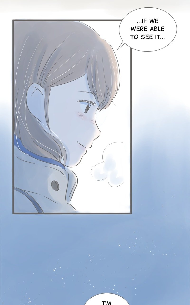 Amid the Changing Seasons