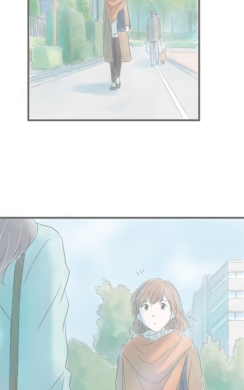 Amid the Changing Seasons