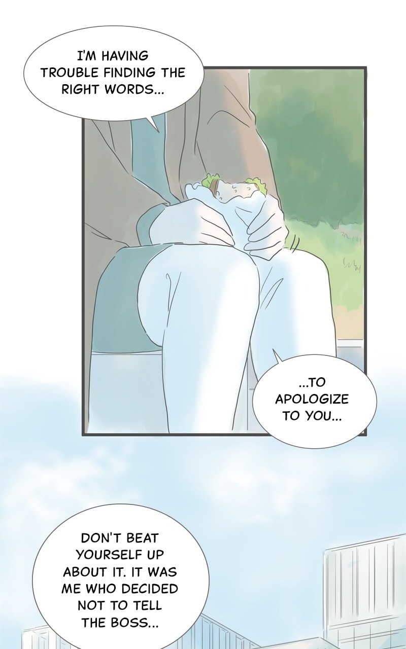 Amid the Changing Seasons