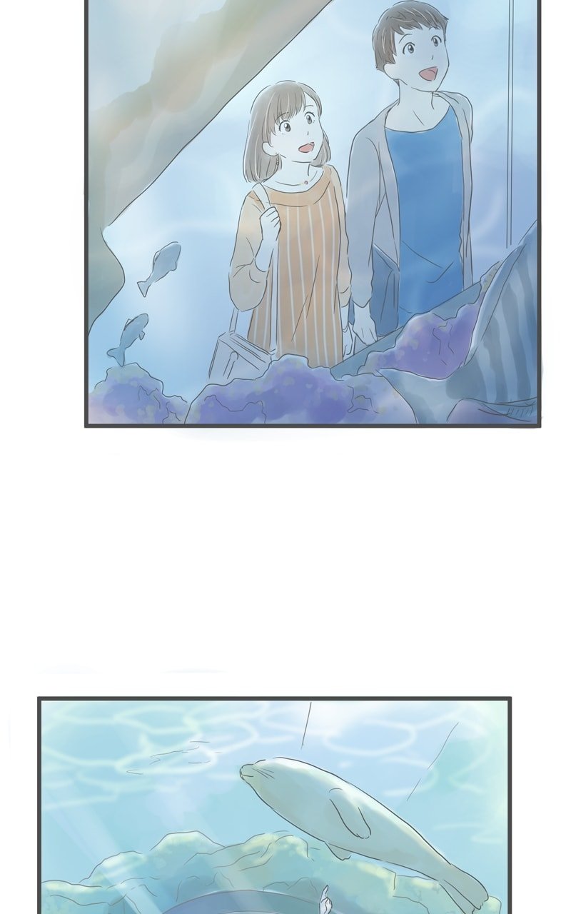 Amid the Changing Seasons