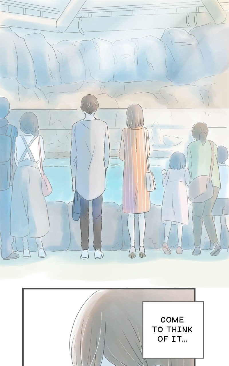 Amid the Changing Seasons