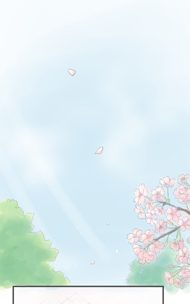 Amid the Changing Seasons
