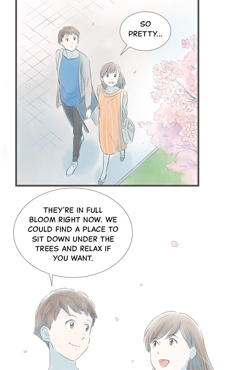 Amid the Changing Seasons