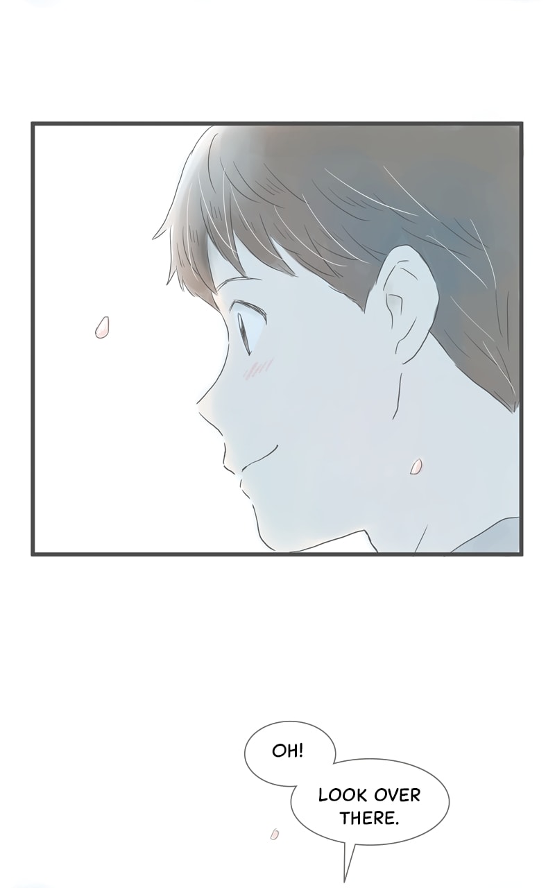 Amid the Changing Seasons