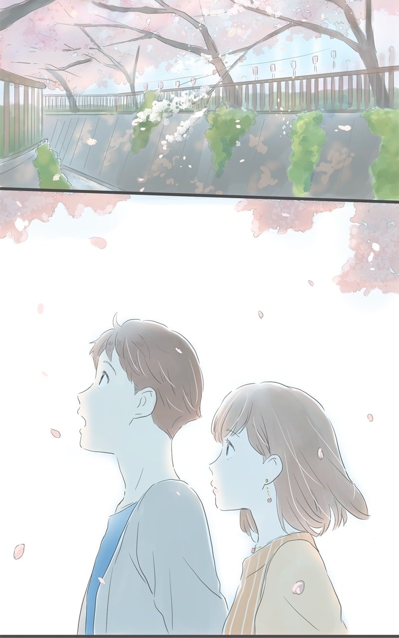 Amid the Changing Seasons