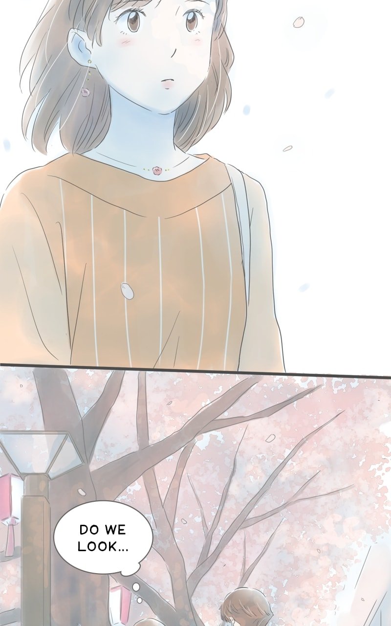 Amid the Changing Seasons