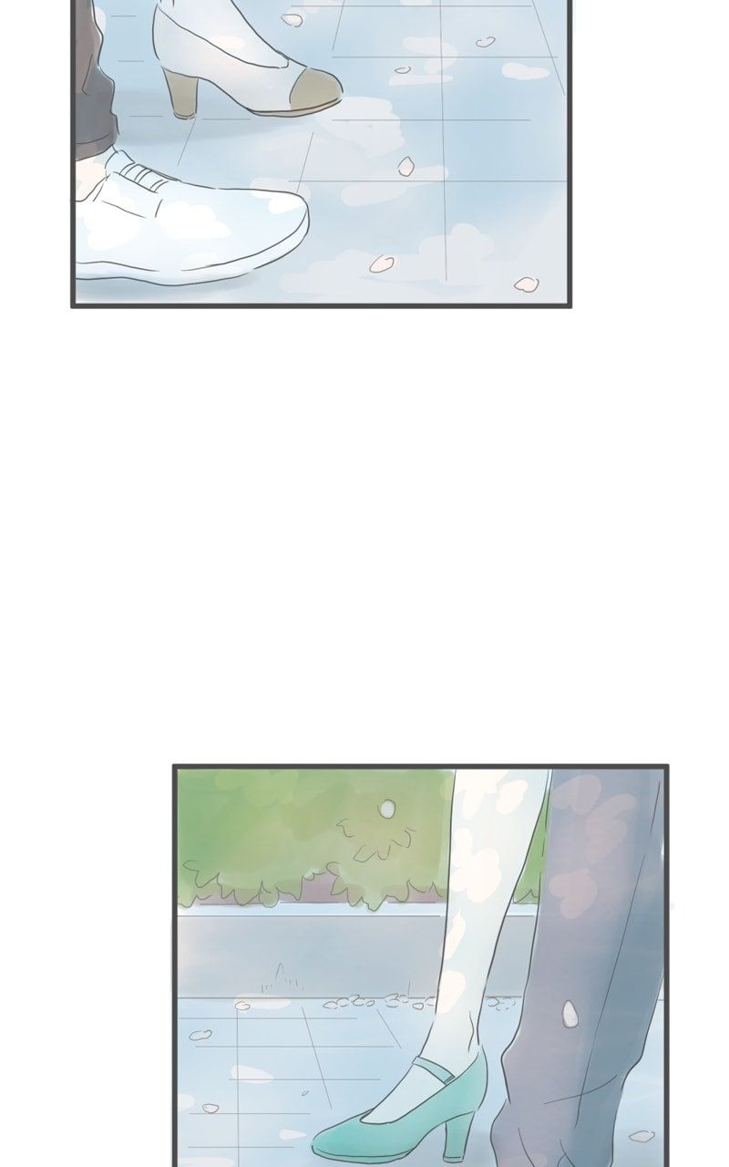Amid the Changing Seasons