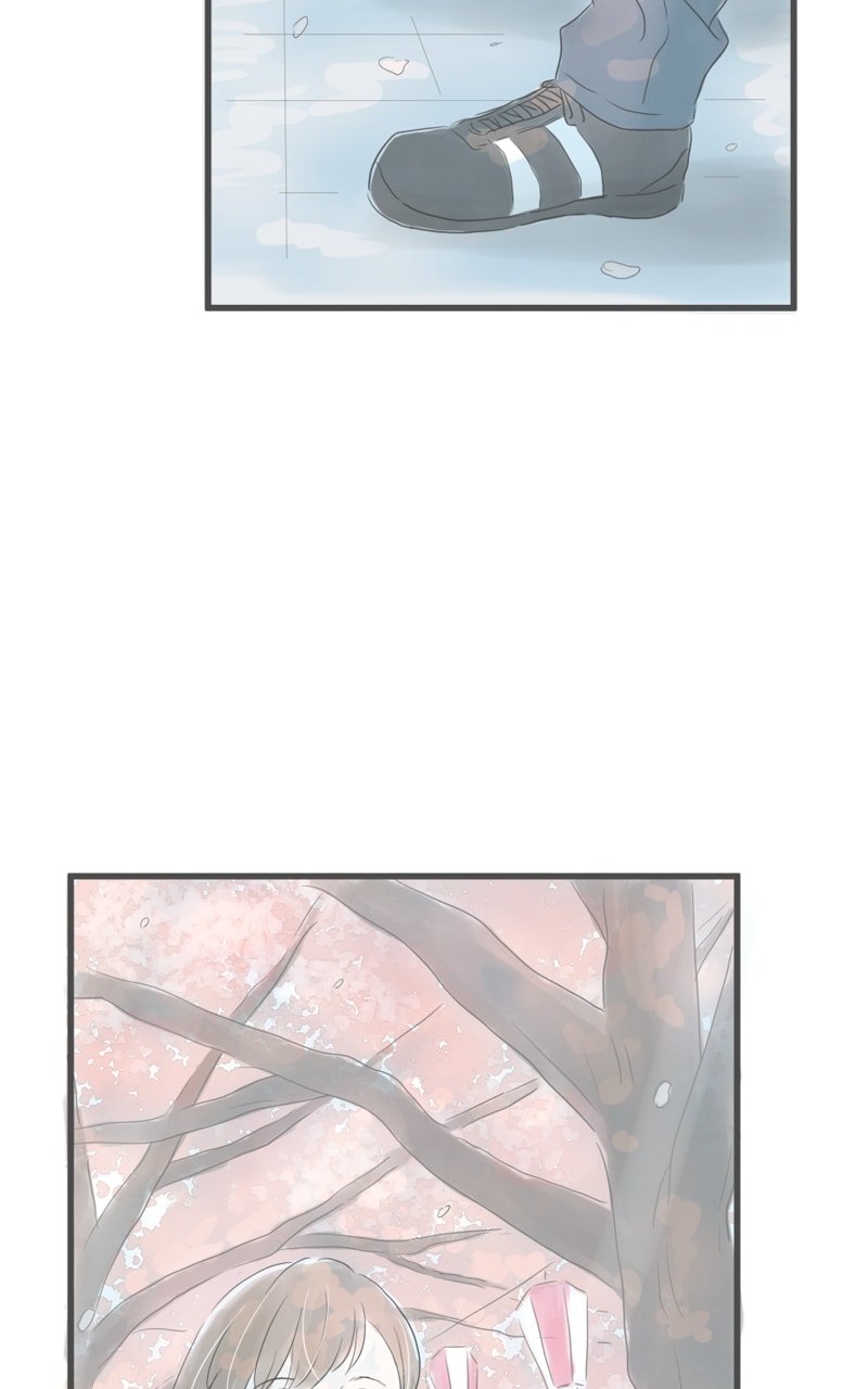Amid the Changing Seasons