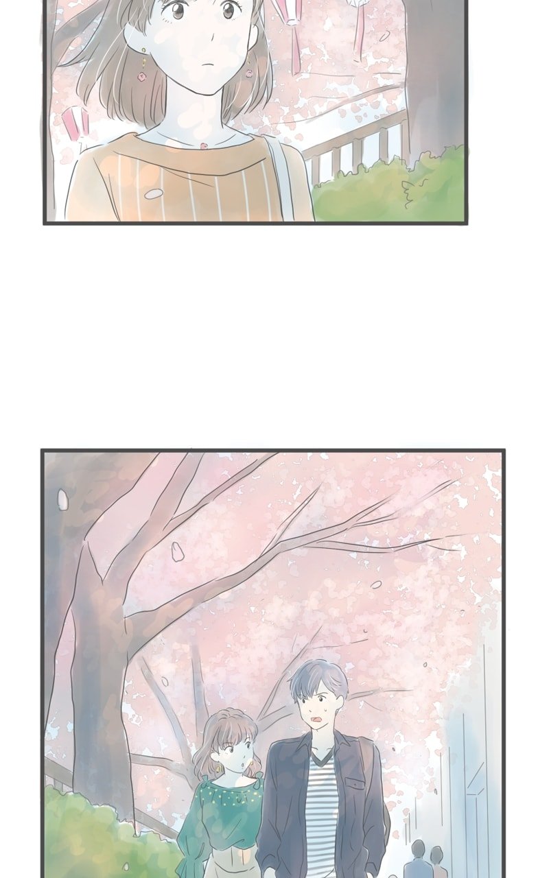 Amid the Changing Seasons