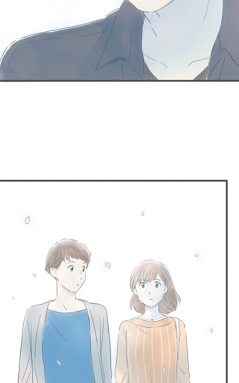 Amid the Changing Seasons