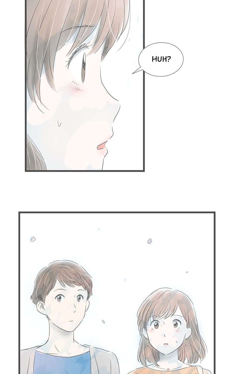 Amid the Changing Seasons