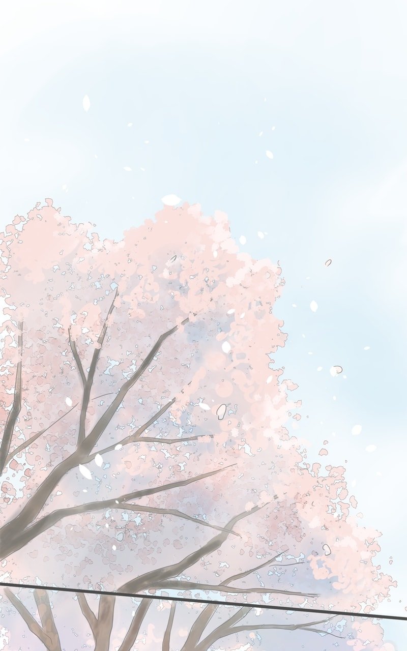 Amid the Changing Seasons
