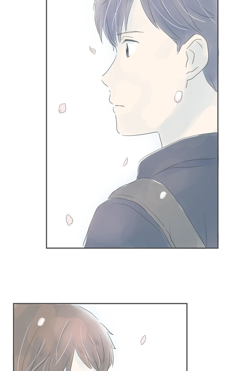 Amid the Changing Seasons