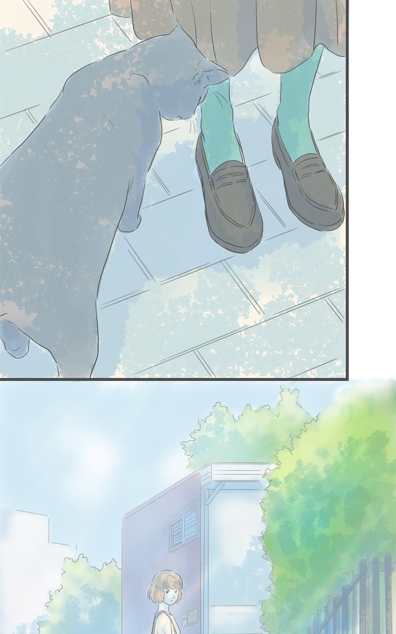 Amid the Changing Seasons
