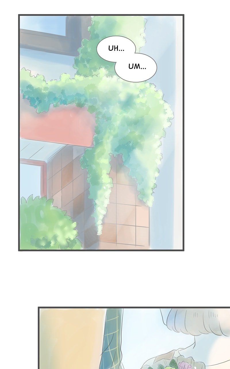 Amid the Changing Seasons