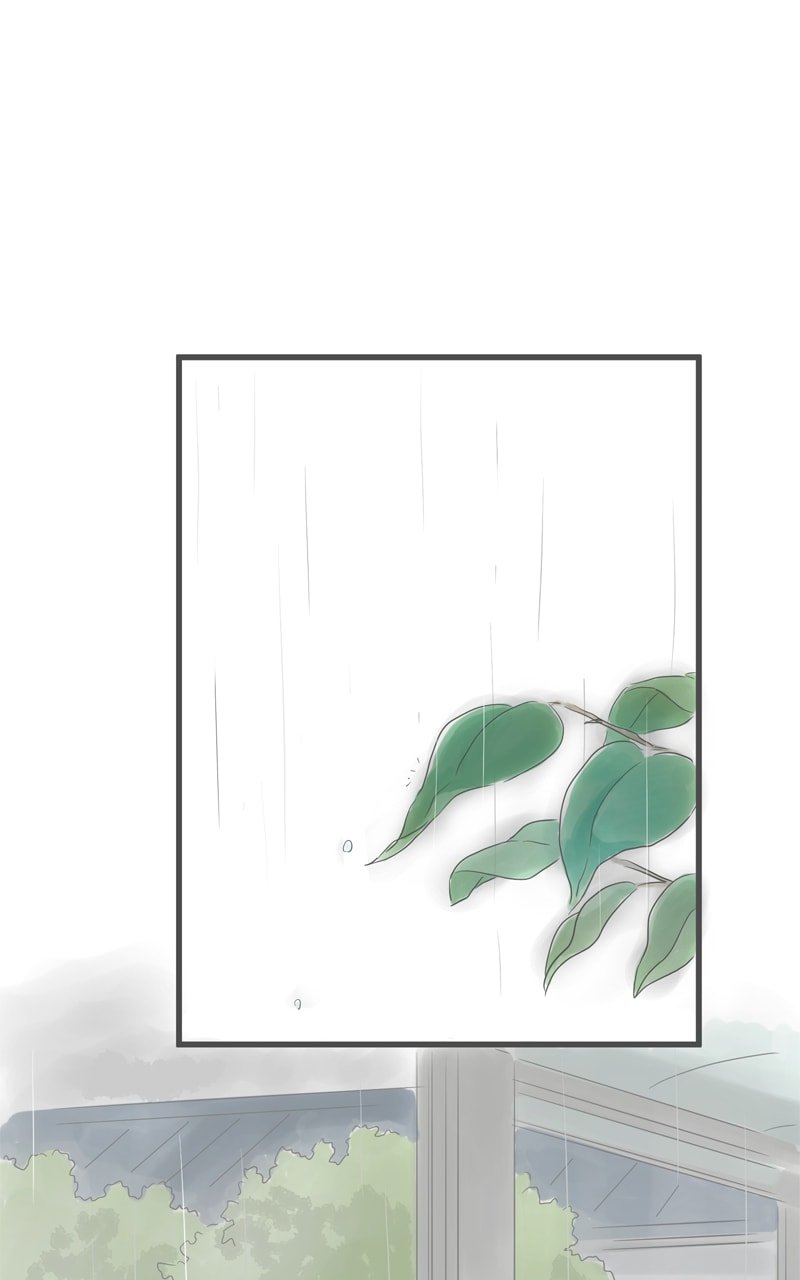 Amid the Changing Seasons