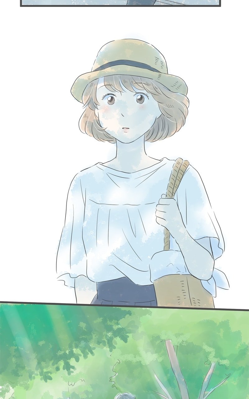 Amid the Changing Seasons