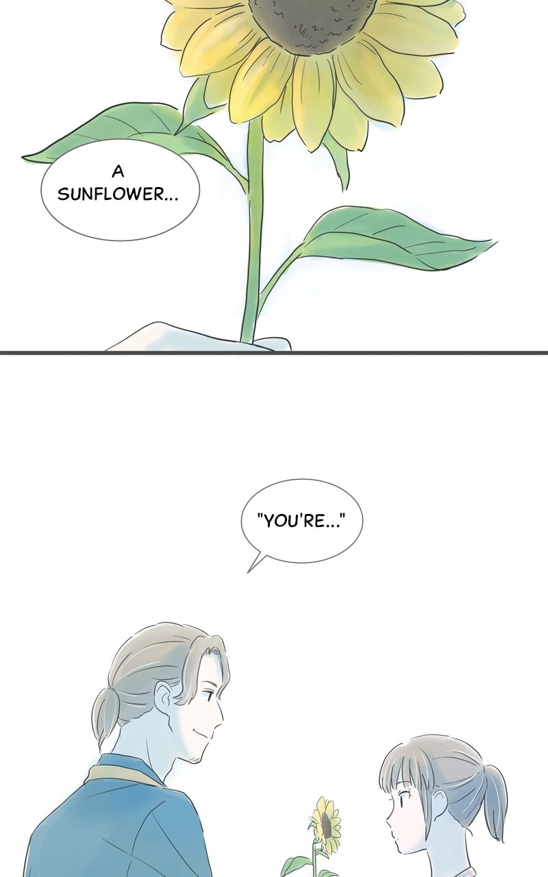Amid the Changing Seasons