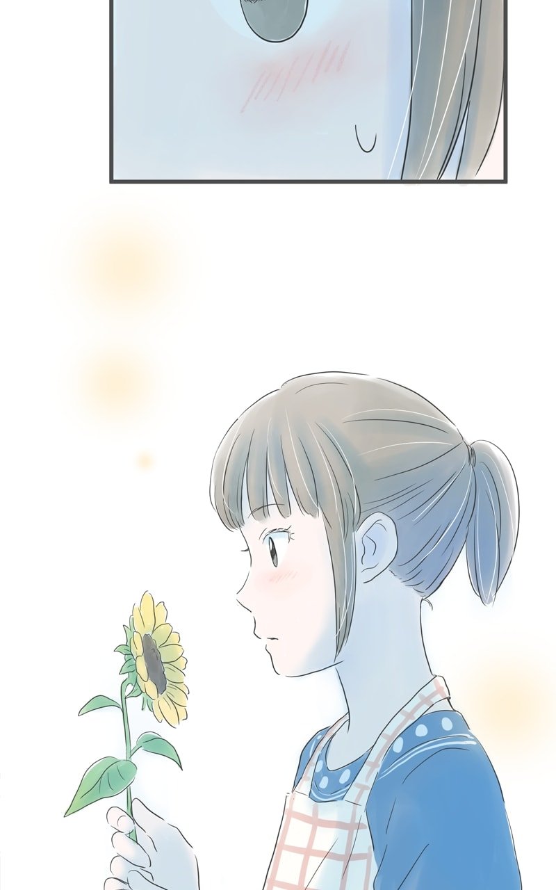 Amid the Changing Seasons