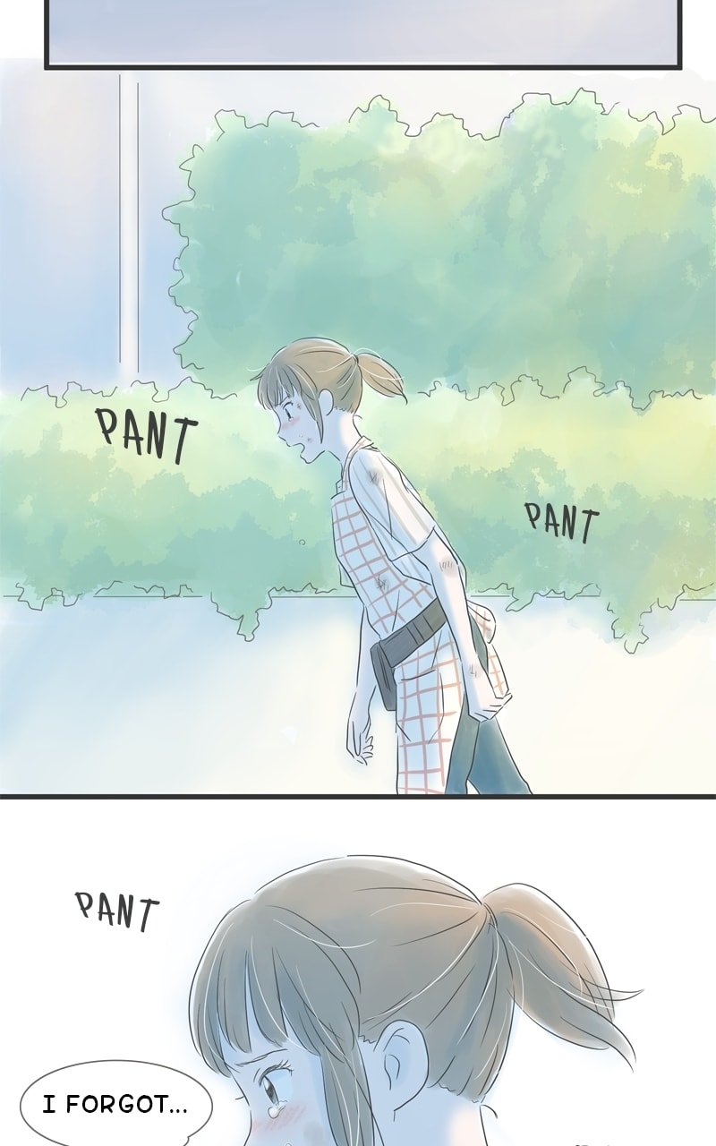 Amid the Changing Seasons