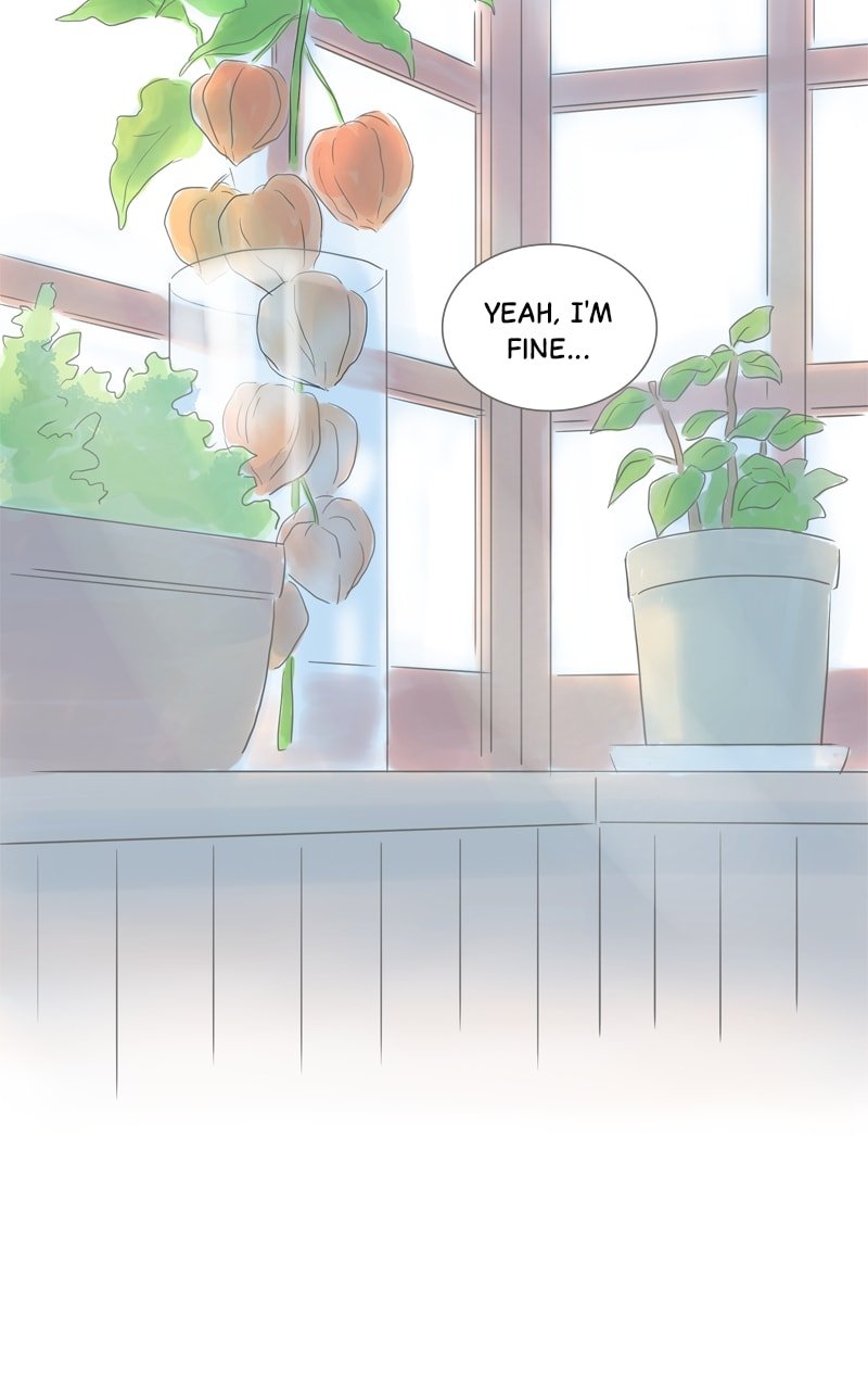 Amid the Changing Seasons