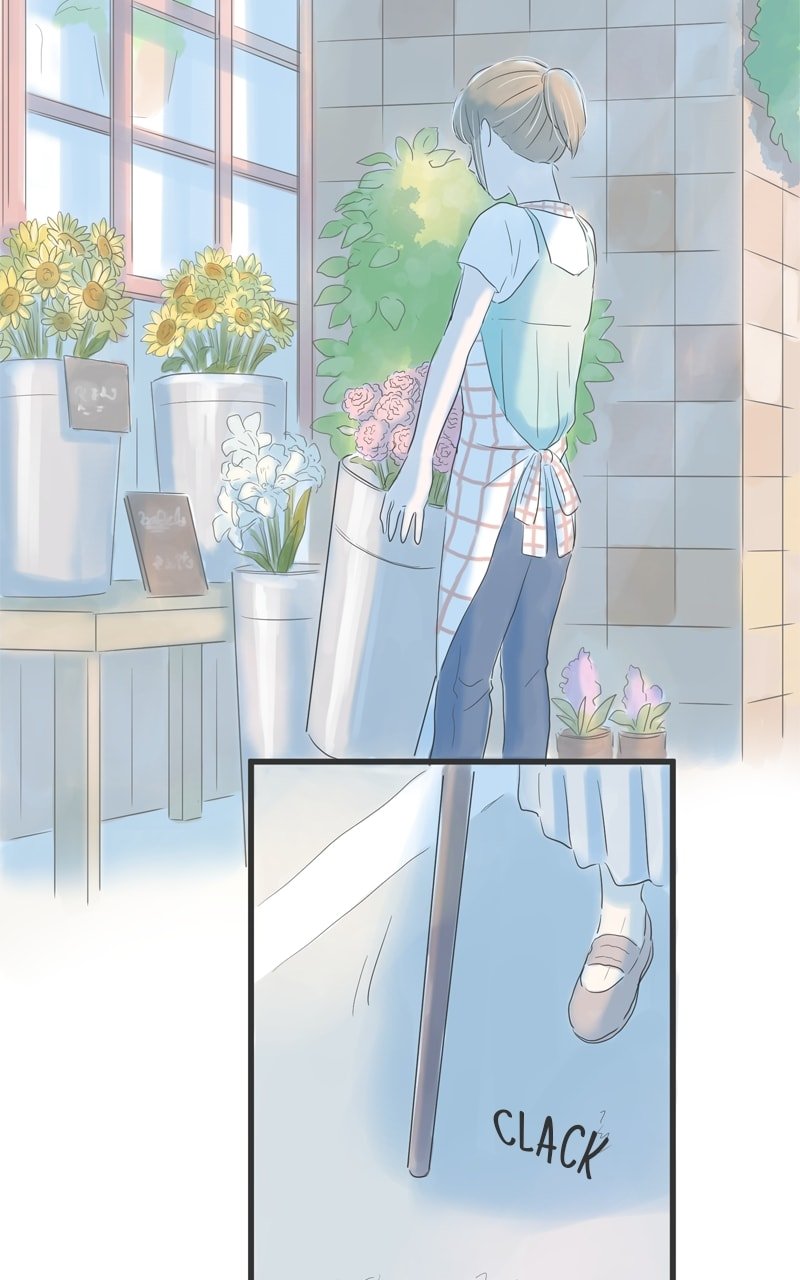 Amid the Changing Seasons