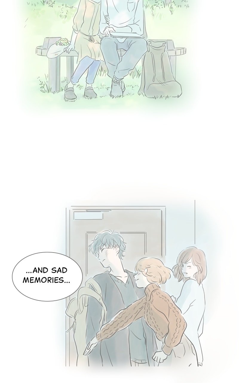 Amid the Changing Seasons