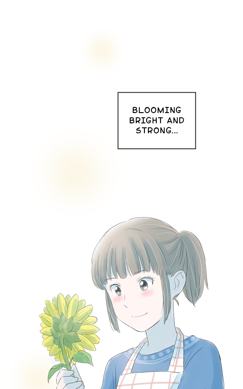 Amid the Changing Seasons